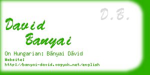 david banyai business card