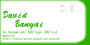 david banyai business card